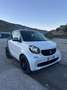 smart forTwo 0.9 t Passion 90cv twinamic Bianco - thumbnail 1