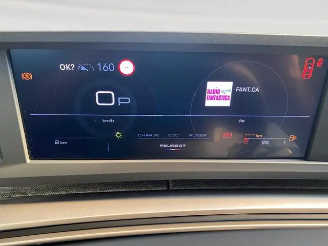 Peugeot 3008 view 13