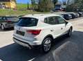 SEAT Arona 1,0 TSI Xperience Weiß - thumbnail 4