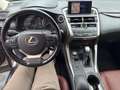 Lexus NX 300h Lexus NX 300h Executive Allrad Silber - thumbnail 10