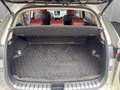 Lexus NX 300h Lexus NX 300h Executive Allrad Silber - thumbnail 14