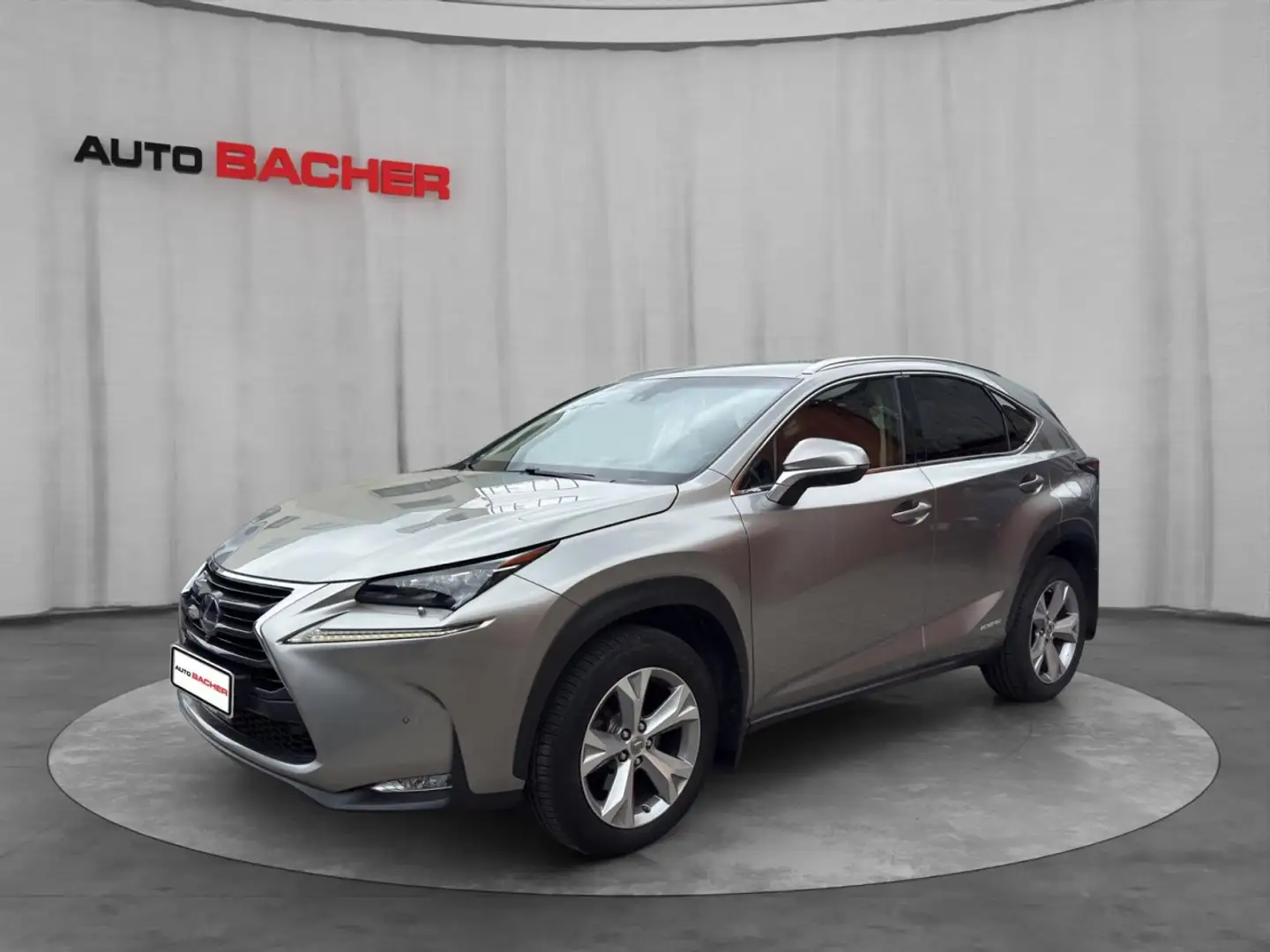 Lexus NX 300h Lexus NX 300h Executive Allrad Silber - 1