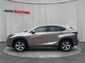 Lexus NX 300h Lexus NX 300h Executive Allrad Silber - thumbnail 2
