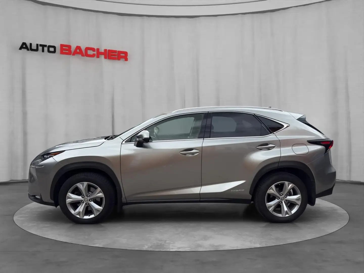 Lexus NX 300h Lexus NX 300h Executive Allrad Silber - 2