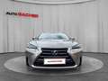Lexus NX 300h Lexus NX 300h Executive Allrad Silber - thumbnail 8