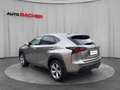 Lexus NX 300h Lexus NX 300h Executive Allrad Silber - thumbnail 3