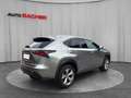 Lexus NX 300h Lexus NX 300h Executive Allrad Silber - thumbnail 5