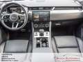 Jaguar F-Pace F-PACE D300 R-Dynamic SE*90th Edit*AHK*Pano*HUD* Grau - thumbnail 14