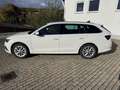 Skoda Octavia Style 2.0 TDI DSG ACC HEADUP KESSY NAVI Blanc - thumbnail 10