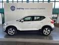 Volvo XC40 XC40 T2 Momentum-Pro Lederpolsterung Beige UD70 Weiß - thumbnail 27