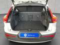 Volvo XC40 XC40 T2 Momentum-Pro Lederpolsterung Beige UD70 Weiß - thumbnail 4