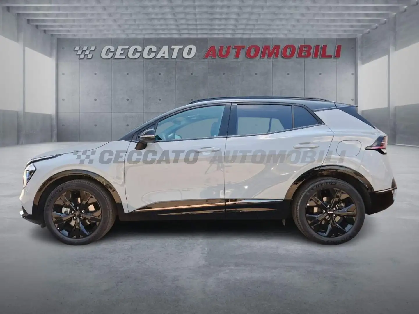 Kia Sportage Sportage 1.6 tgdi hev Special Edition Sunroof Pac Grigio - 2