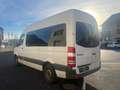 Mercedes-Benz Sprinter 311 CDI*Rollstuhl*E-Rampe*8Sitze*Flexi* Weiß - thumbnail 3