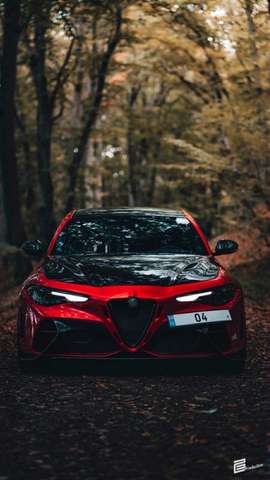 Imagine Alfa Romeo Giulia 2.9 V6 Bi-Turbo AT8 Quadrifoglio