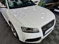 Audi RS5 4.2 quattro S-Tronic Blanco - thumbnail 21
