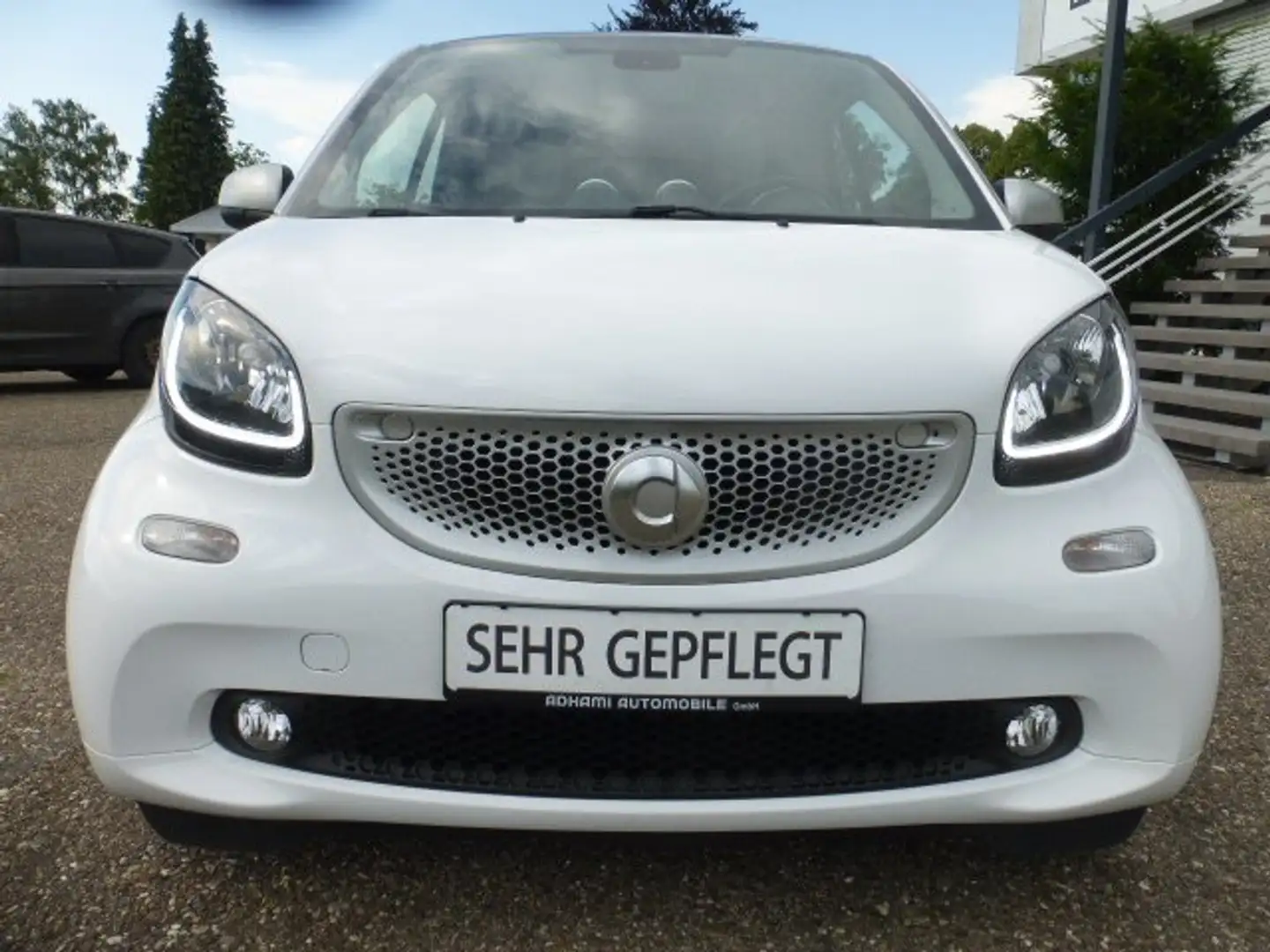smart forTwo Passion / Panoramadach/ Klimaaut. / Sitzhzg. / Top Grau - 2
