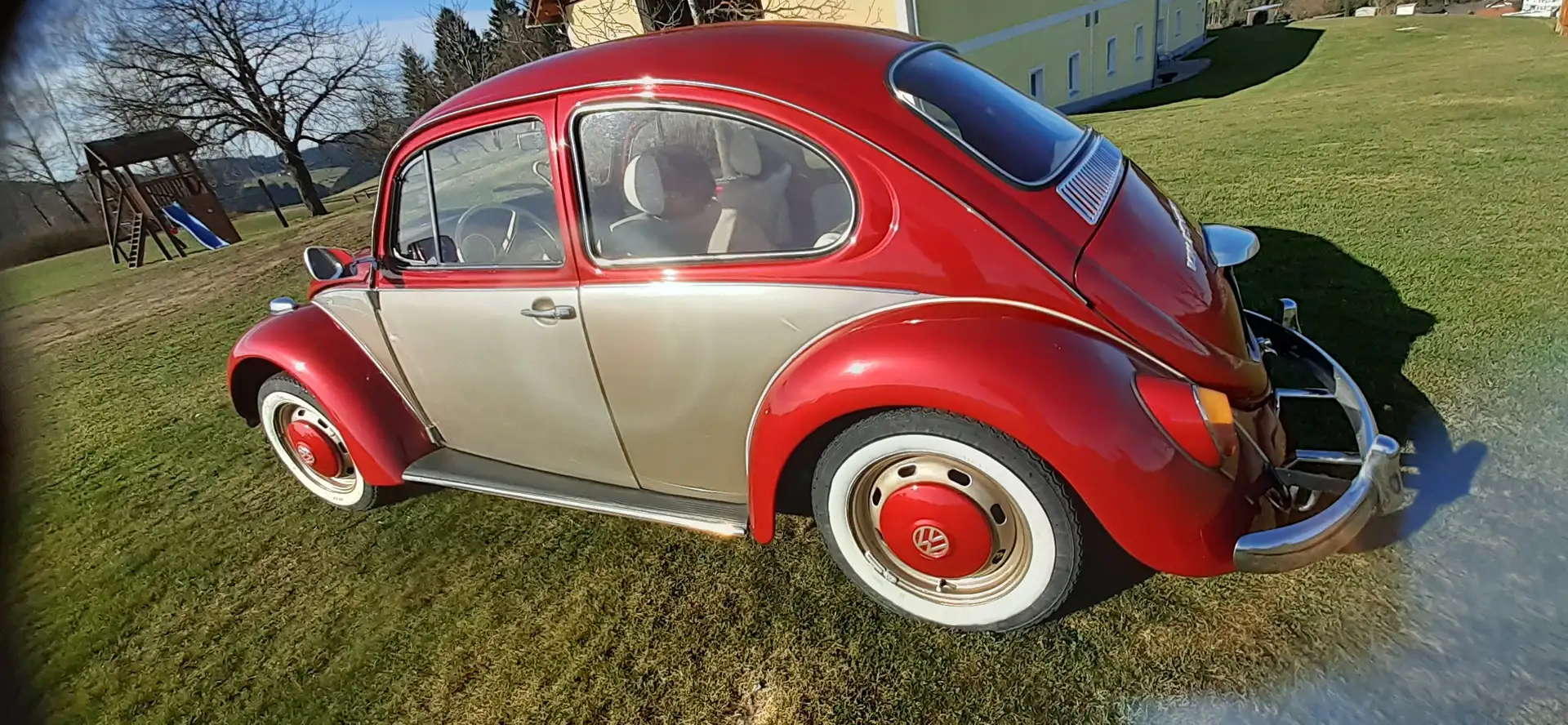 Volkswagen Käfer Czerwony - 2