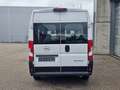 Opel Movano 2.2 BlueHDI 35 L3H2 9 Sitzer Klima Blanco - thumbnail 8