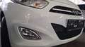 Hyundai i10 i10 1,1 Life Life /NUR 50.000KM/ Pickerl!*1.BESITZ Weiß - thumbnail 2