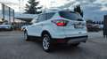 Ford Kuga Kuga 1.5 TDCI 120 CV S&S 2WD Titanium Business Blanc - thumbnail 6