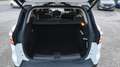 Ford Kuga Kuga 1.5 TDCI 120 CV S&S 2WD Titanium Business Blanc - thumbnail 8