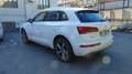 Audi Q5 2.0 TDI 190 CV quattro S tronic Business Sport Bianco - thumbnail 7