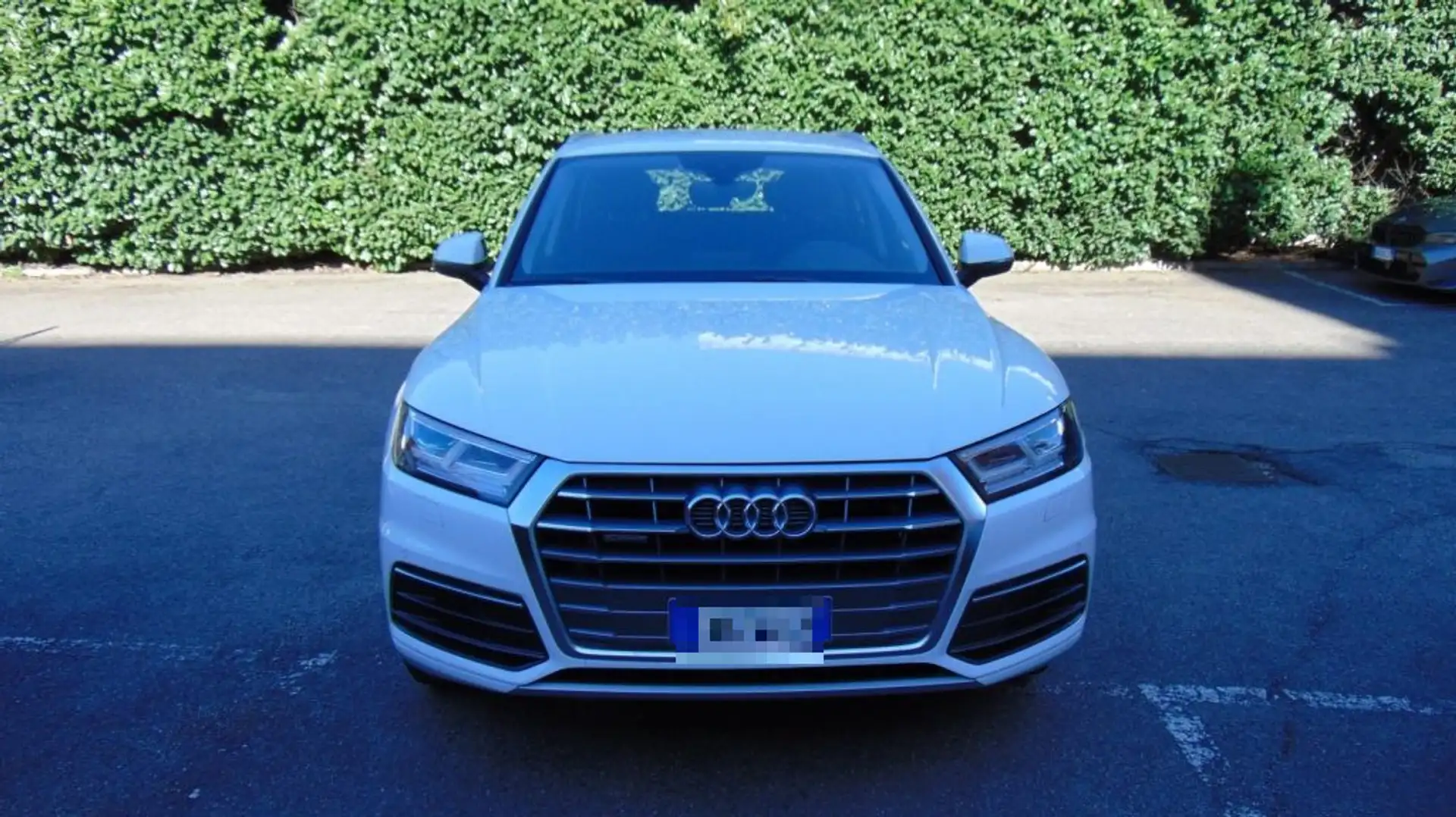Audi Q5 2.0 TDI 190 CV quattro S tronic Business Sport Bianco - 2