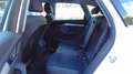 Audi Q5 2.0 TDI 190 CV quattro S tronic Business Sport Bianco - thumbnail 15