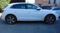 Audi Q5 2.0 TDI 190 CV quattro S tronic Business Sport Bianco - thumbnail 6