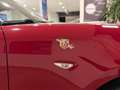 Abarth 124 Spider 124 Spider 1.4 Turbo AT 170 CV EDIZIONE LIMITATA Rouge - thumbnail 14