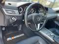 Mercedes-Benz E 250 E250 T 4Matic Aut. AVANTGARDE*LED*SHZ*AHK Schwarz - thumbnail 37