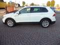 Volkswagen Tiguan 2.0 tdi Life 150cv dsg Bianco - thumbnail 4
