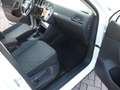 Volkswagen Tiguan 2.0 tdi Life 150cv dsg Bianco - thumbnail 15
