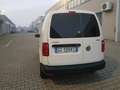 Volkswagen Caddy VAN 1,4 TGI METANO BENZINA  KM 122.000 +IVA Blanc - thumbnail 3