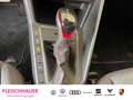 Volkswagen Polo GTI 2.0 TSI Matrix-LED PDC Navi App-Connect Grau - thumbnail 15