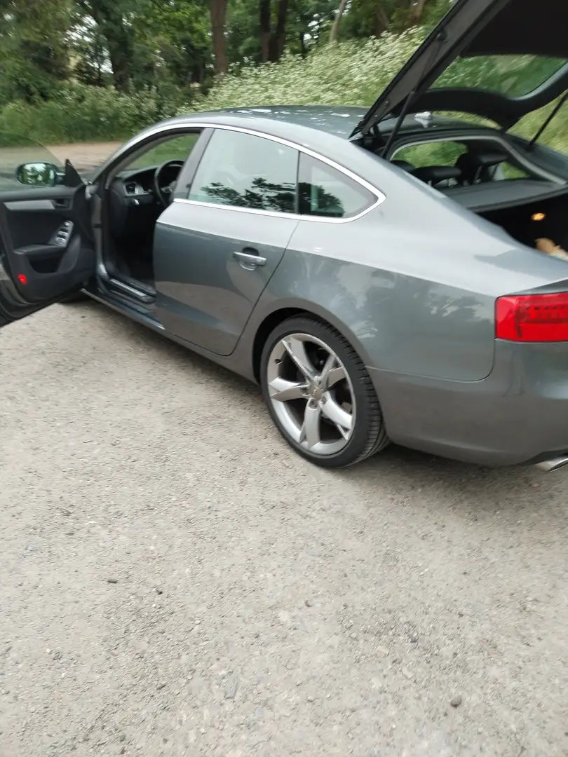 Audi A5 Audi a5 sportback 3.0 tdi 204cv multitronic Gris - 2