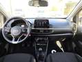 Kia Picanto 1.0 dpi GPL Urban Techno PREZZO REALE! CARPLAY TEL Grigio - thumbnail 5