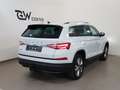 Skoda Kodiaq 2,0 TDI DSG Faceliftmodell ACC AHK Travel Assist H Weiß - thumbnail 9