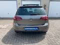 Volkswagen Golf GOLF COMFORTLINE PANORAMA STARTSTO MEDIA SHZ PDC Grigio - thumbnail 5