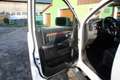 Dodge RAM Laramie 1500 Crew bed long bed Weiß - thumbnail 11