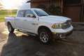 Dodge RAM Laramie 1500 Crew bed long bed Weiß - thumbnail 5