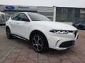Alfa Romeo Tonale 1.5 Ti ACC Navi DAB SHZ LED  PDC Weiß - thumbnail 4