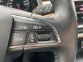 SEAT Ibiza 1.6 TDI 80 CV 5p. XCELLENCE Grijs - thumbnail 19