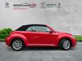 Volkswagen Beetle Cabriolet Design 1.2 TSI Rot - thumbnail 3