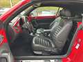 Volkswagen Beetle Cabriolet Design 1.2 TSI Rot - thumbnail 6