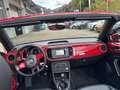 Volkswagen Beetle Cabriolet Design 1.2 TSI Rot - thumbnail 8