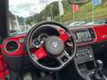 Volkswagen Beetle Cabriolet Design 1.2 TSI Rot - thumbnail 11
