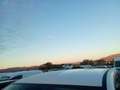 Mazda CX-60 3.3L e-Skyactiv-D MHEV Homura 2WD 147kW Aut. Blanco - thumbnail 13
