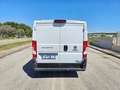Fiat Ducato 28 2.0 MJT 120CV PC FRIGO 0° Blanc - thumbnail 7