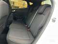 Ford Fiesta 1.0 ECOBOOST HYBRID 125 CV 5 PORTE ST-LINE C.MANU Weiß - thumbnail 15
